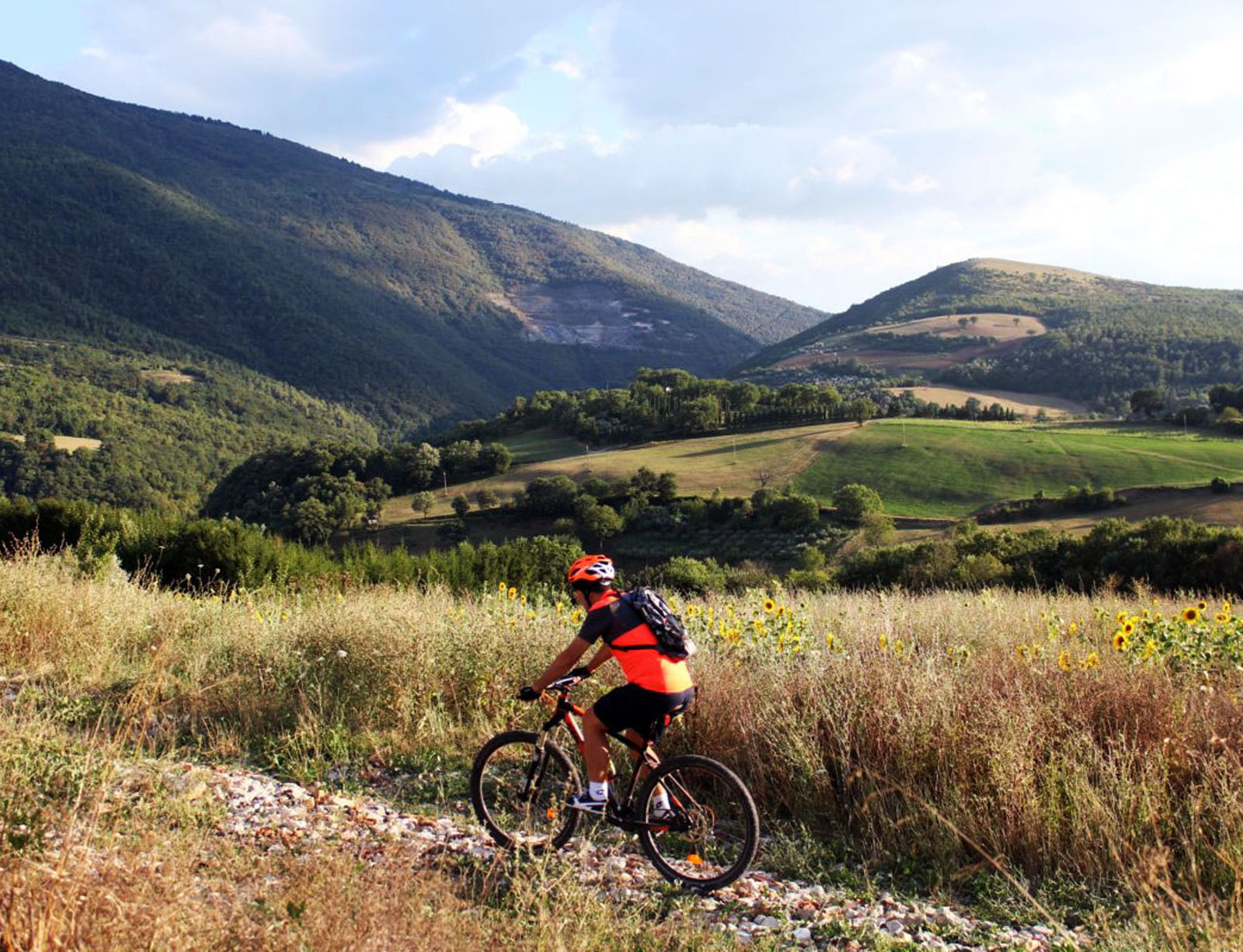 Activiteiten & Excursies